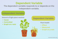 Dependent Variable Definition and Examples